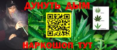 гашик Бузулук