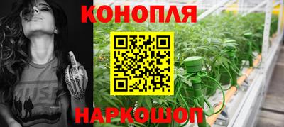 гашик Бузулук