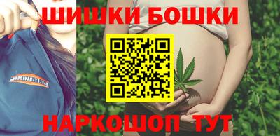 СК Будённовск