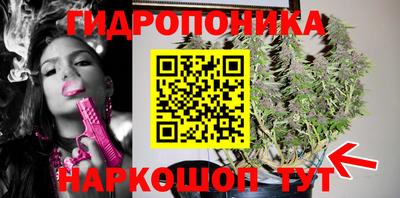 гашик Бузулук