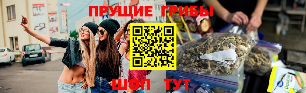 Галлюциногенные грибы Cubensis  Вход с VPN  Пушкино 