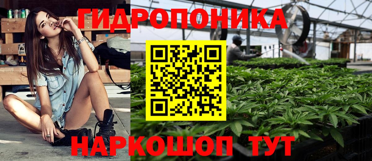МАРИХУАНА ГИДРОПОН Пушкино
